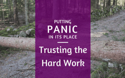 Putting Panic in its Place: Trusting the Hard Work